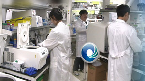 인천형 일자리 60만 개 곧 달성 '선택과 집중' - 뉴스 썸네일 이미지