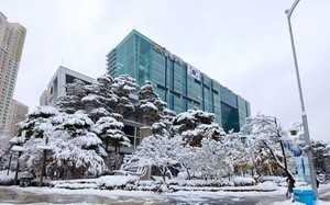 금천구, 해충 방역·아이디 공모전·해외 박람회 개최 - 뉴스 썸네일 이미지